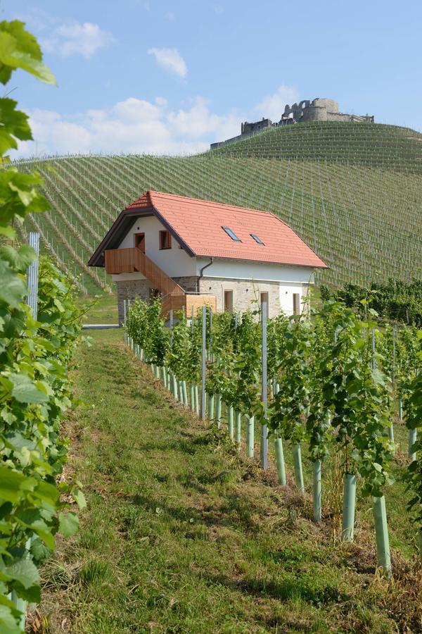 Weingut Taggenbrunn Hotel Sankt Veit an der Glan Eksteriør billede