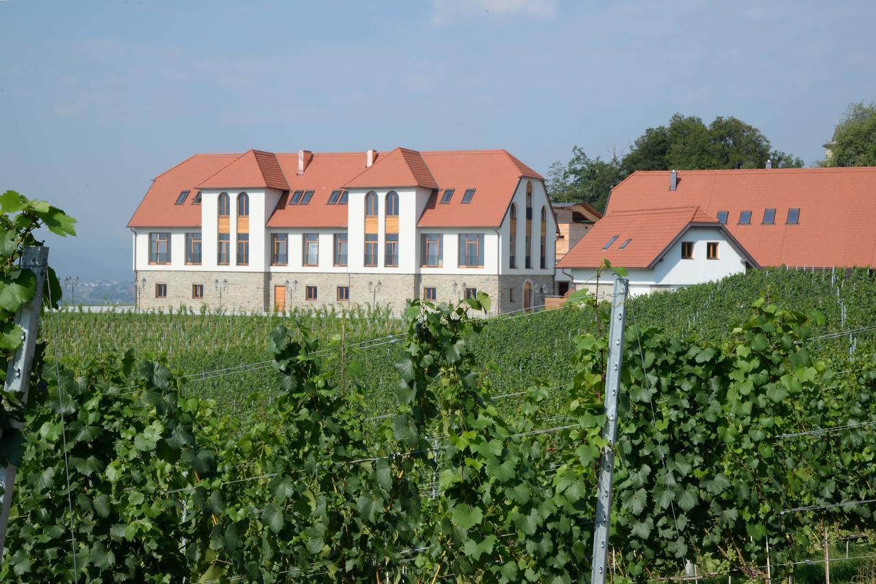 Weingut Taggenbrunn Hotel Sankt Veit an der Glan Eksteriør billede