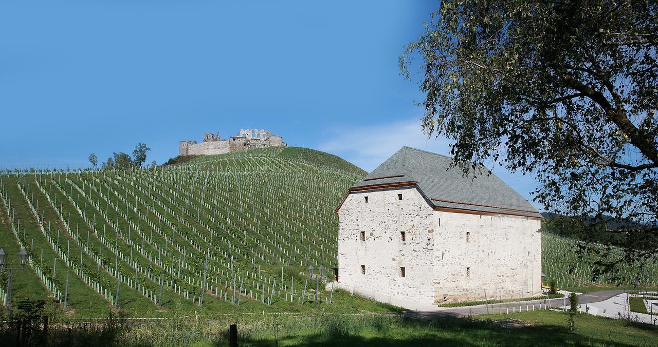 Weingut Taggenbrunn Hotel Sankt Veit an der Glan Eksteriør billede