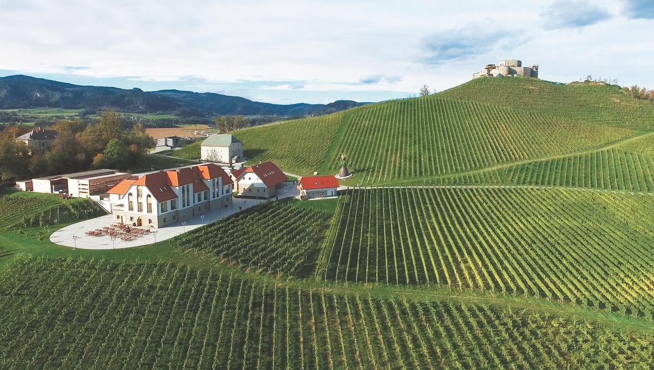 Weingut Taggenbrunn Hotel Sankt Veit an der Glan Eksteriør billede